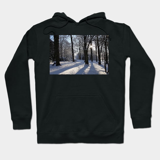 Winter Shadows Hoodie by JohnDalkin